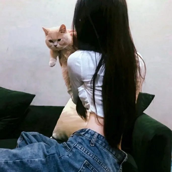 飞常大排档