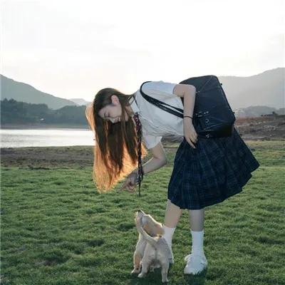 摄影师贝尔蒂与海豚零距离